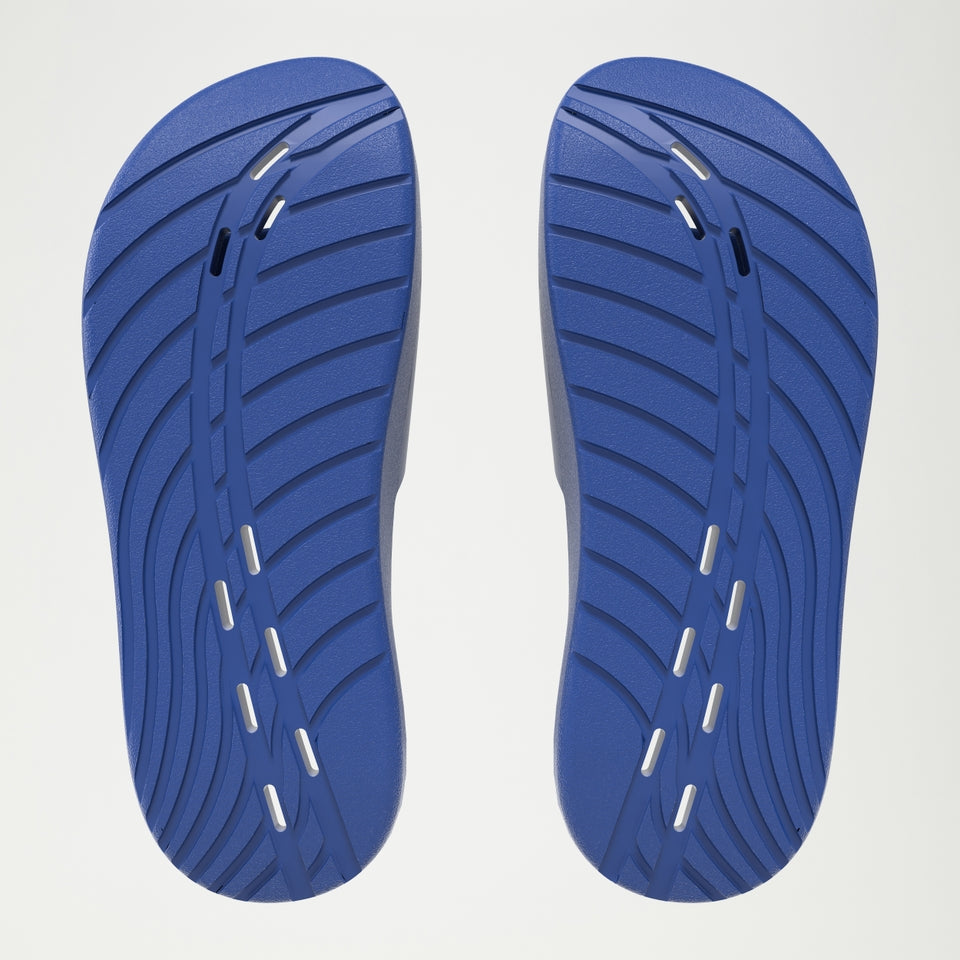 Speedo Slide Navy/White | Speedo